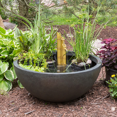 Patio Ponds